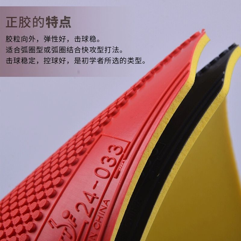 Original DHS Dragon Shadow Tab - Table Tennis For Sale recension och pris